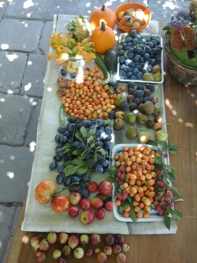 Alojamento de Acomodação e Pequeno-almoço Bio&b Cascina Montebello *