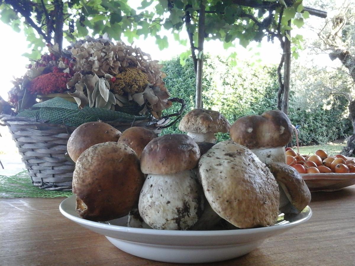 Alojamento de Acomodação e Pequeno-almoço Bio&b Cascina Montebello *